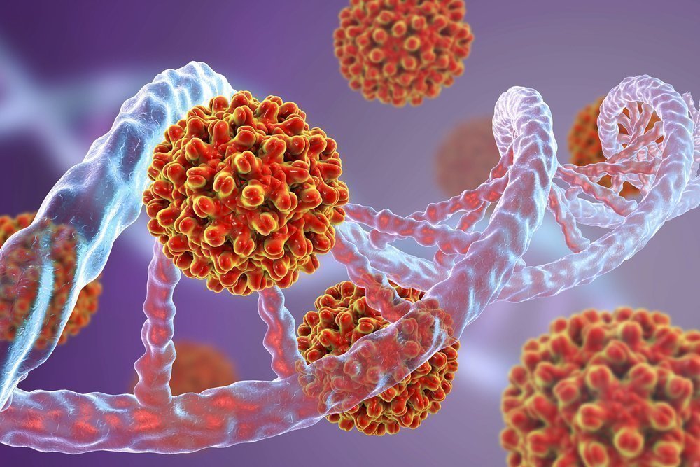 Семь главных моментов, которые нужно знать об онкогенных вирусах 